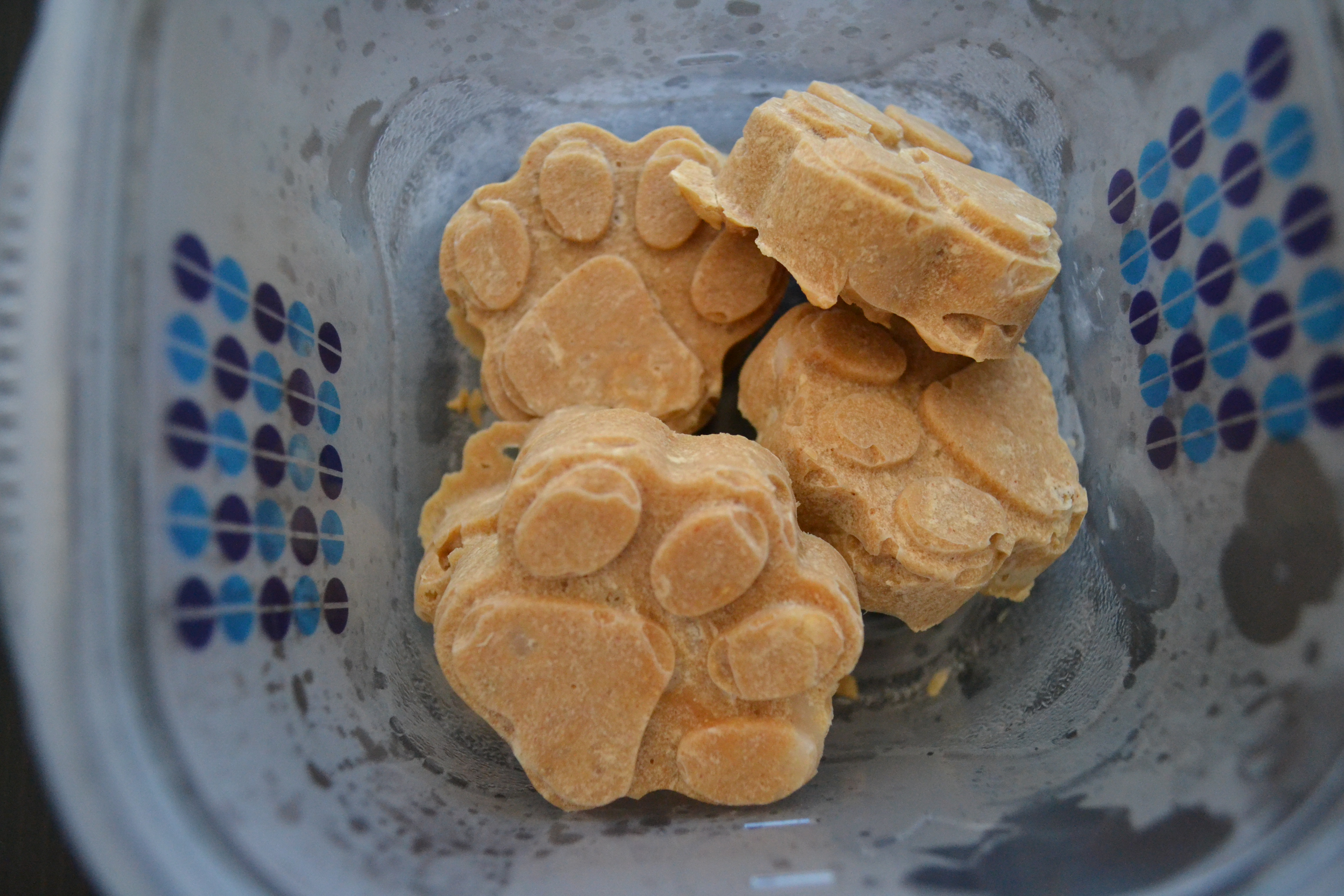 Frozen dog treats with coconut oil